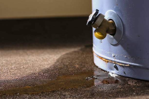 Best Emergency water damage restoration  in Dawson, MN