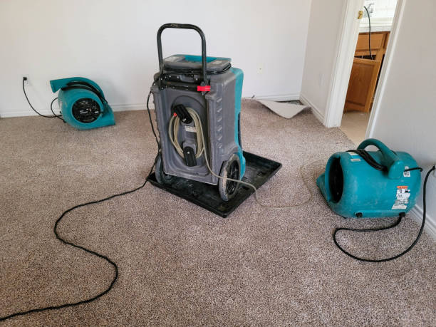 Best Basement water damage restoration  in Dawson, MN