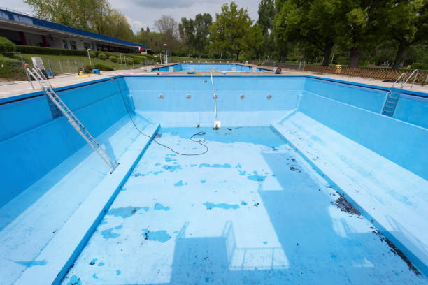 Best Mold removal after water damage  in Dawson, MN
