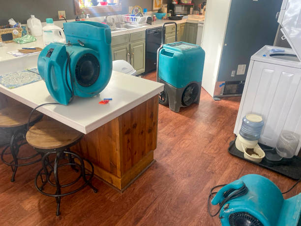 Best Sewage cleanup and water damage restoration  in Dawson, MN