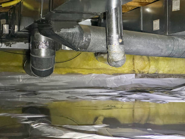 Best 24/7 water damage repair  in Dawson, MN