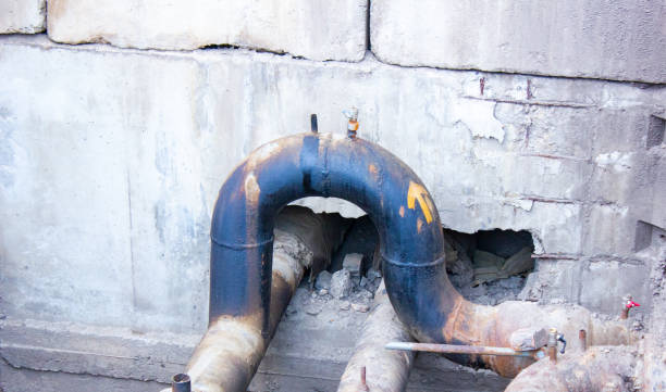 Best Professional water damage repair  in Dawson, MN