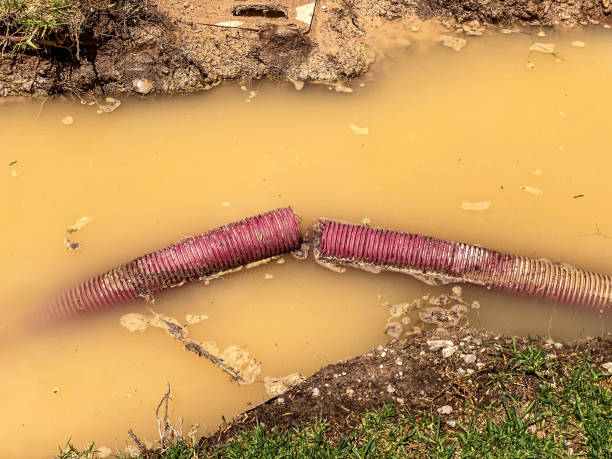 Best Commercial water damage restoration  in Dawson, MN