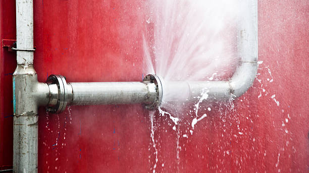 Best Water damage cleanup near me  in Dawson, MN
