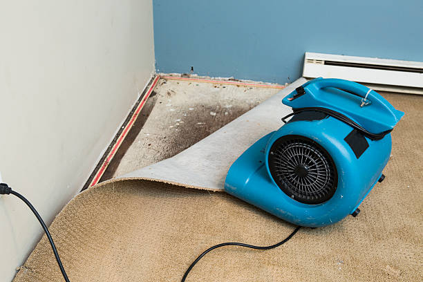  Dawson, MN Water damage restoration Pros